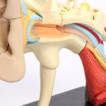 What is Balloon Dilation of the Eustachian Tube?